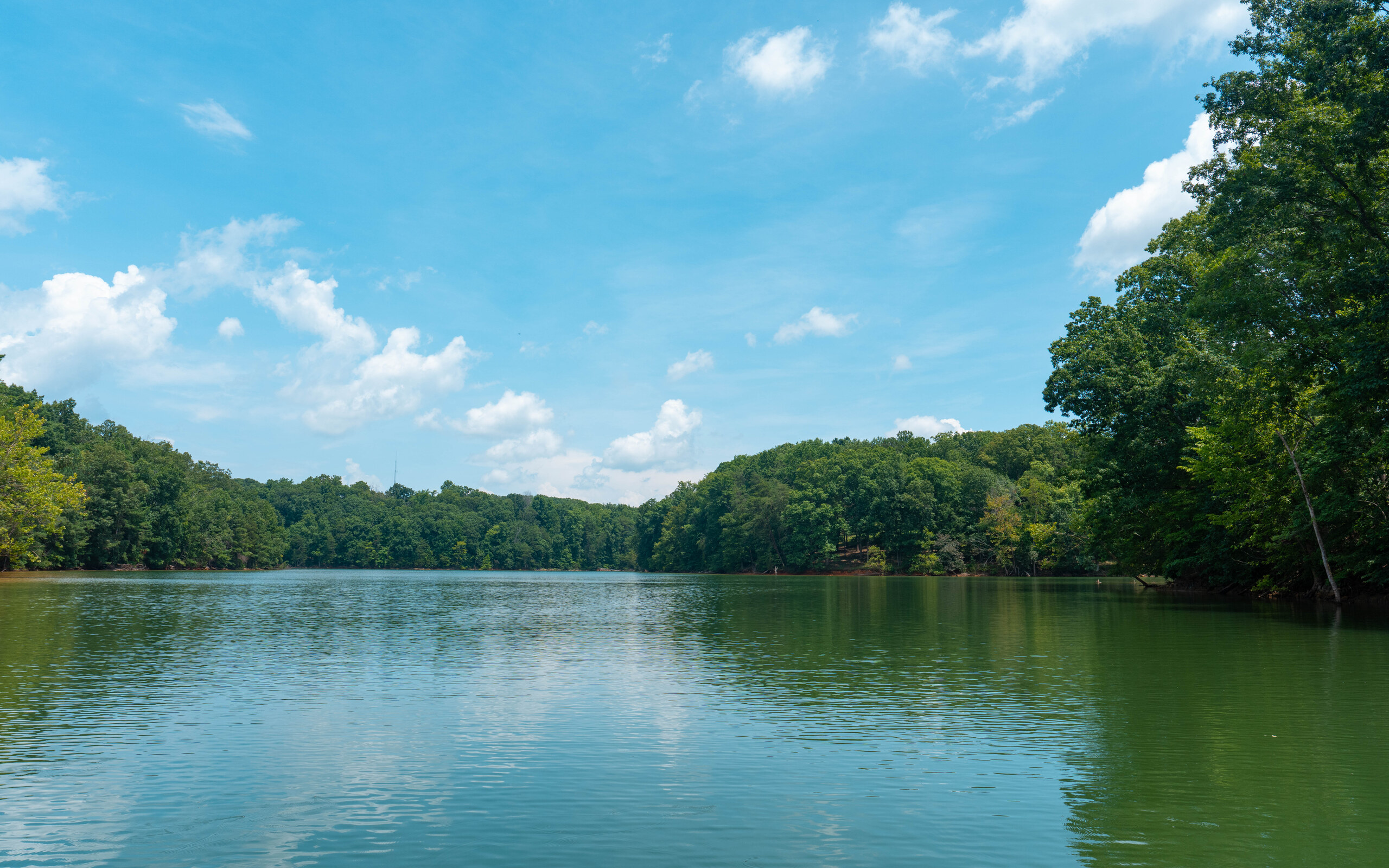 Bridgewater Pointe lake view
