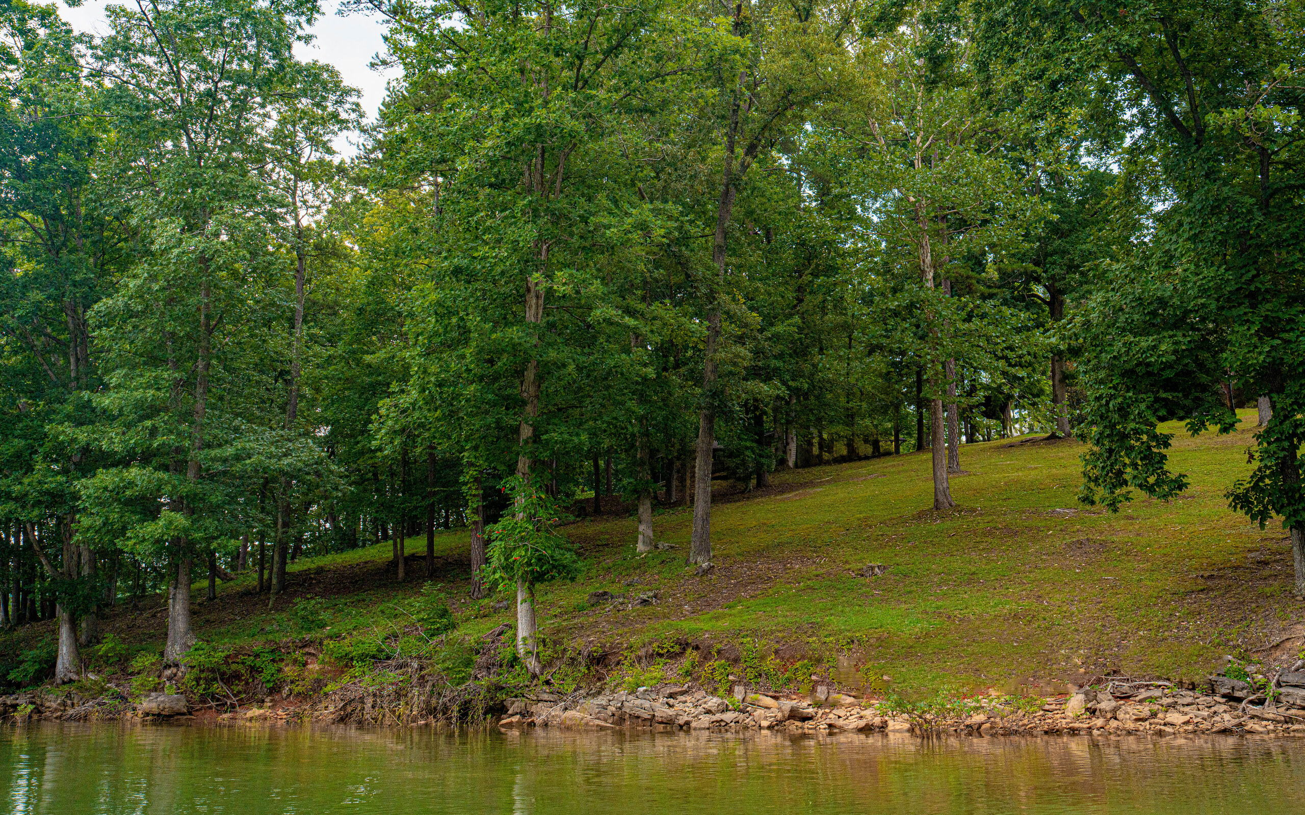 Bridgewater Pointe wooded lake-view lot